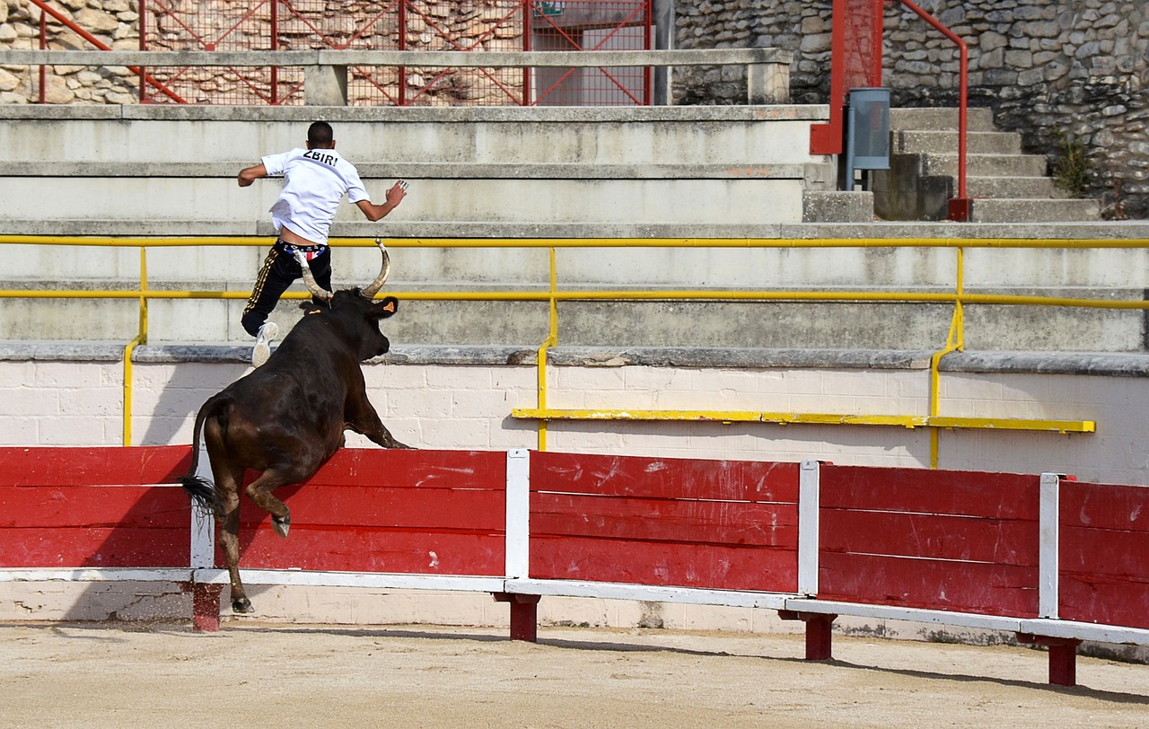 使命与风格